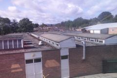 Aug-5-pics-zioxi-026