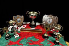 1_20230707_115709986_iOS