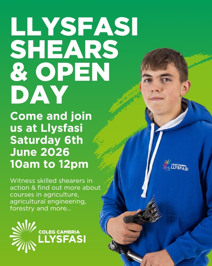 Llysfasi Shearing and open day social graphic 2025.jpg